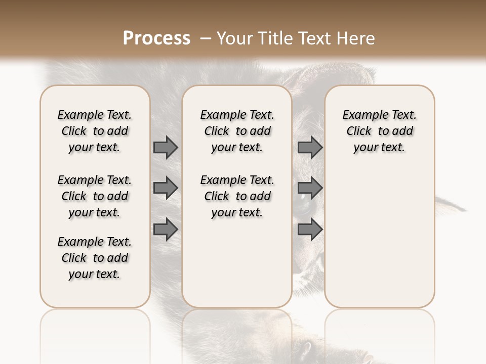 Cat Grey Fur PowerPoint Template