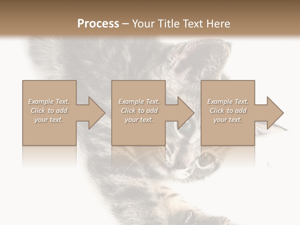 Cat Grey Fur PowerPoint Template