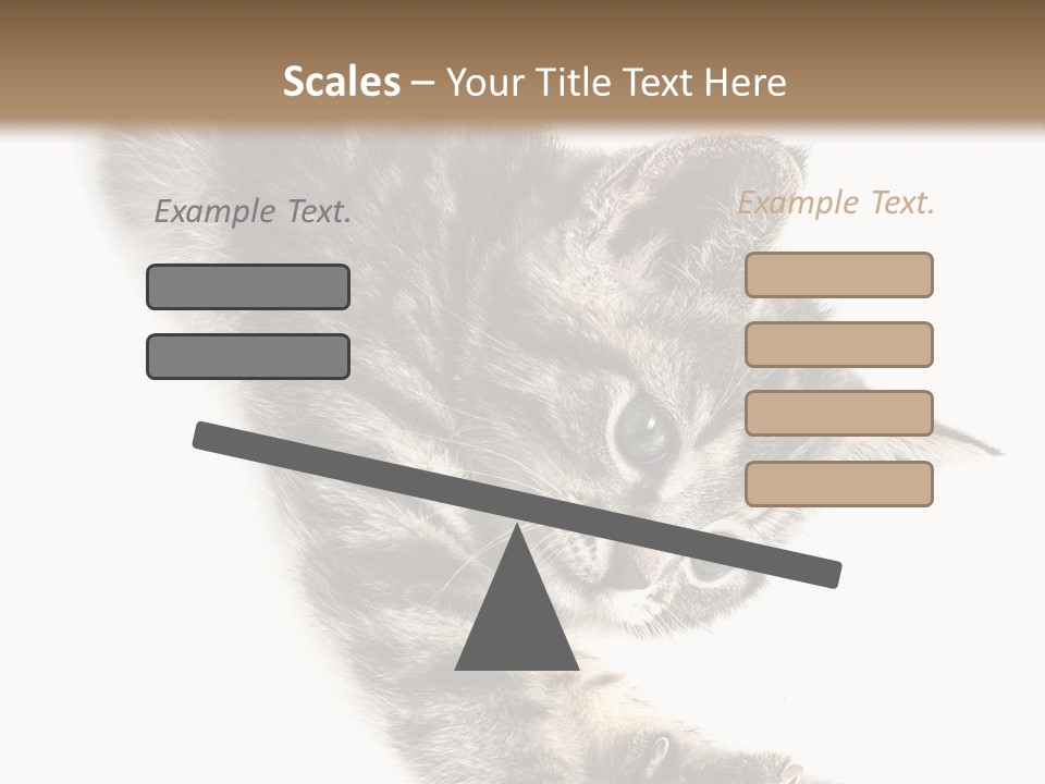 Cat Grey Fur PowerPoint Template