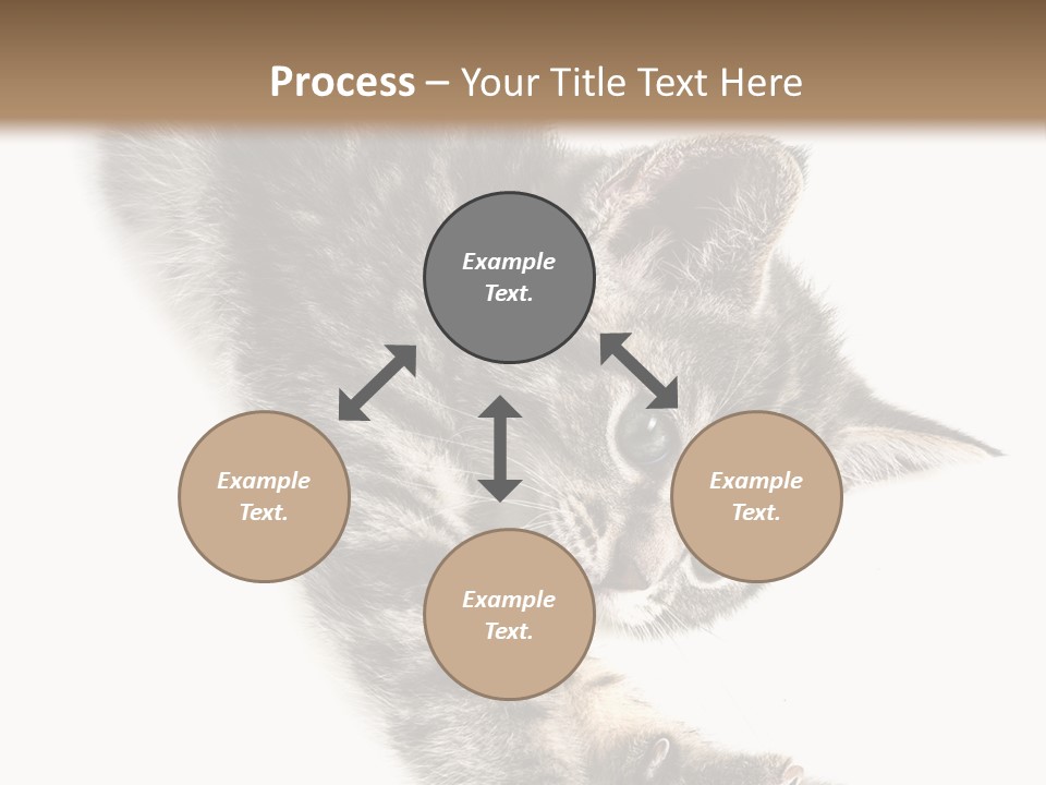 Cat Grey Fur PowerPoint Template