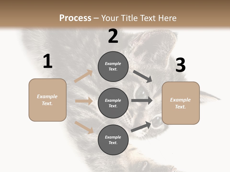 Cat Grey Fur PowerPoint Template