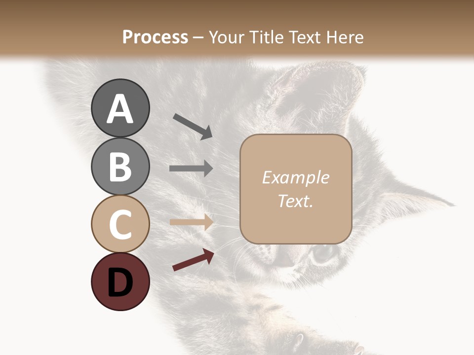 Cat Grey Fur PowerPoint Template