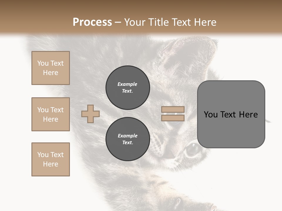 Cat Grey Fur PowerPoint Template
