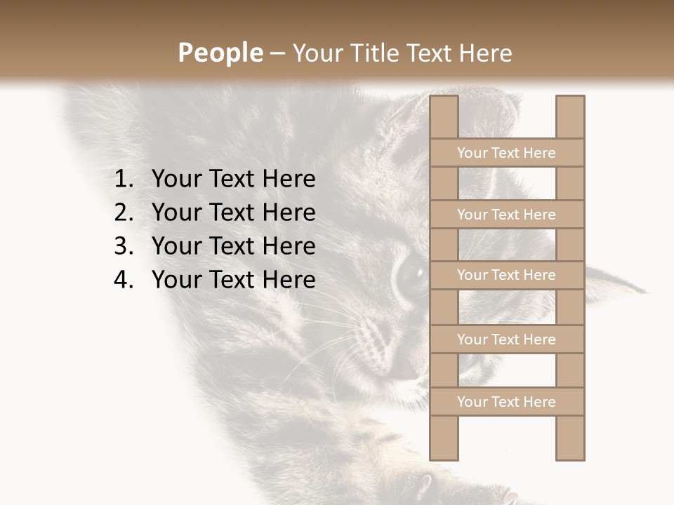 Cat Grey Fur PowerPoint Template