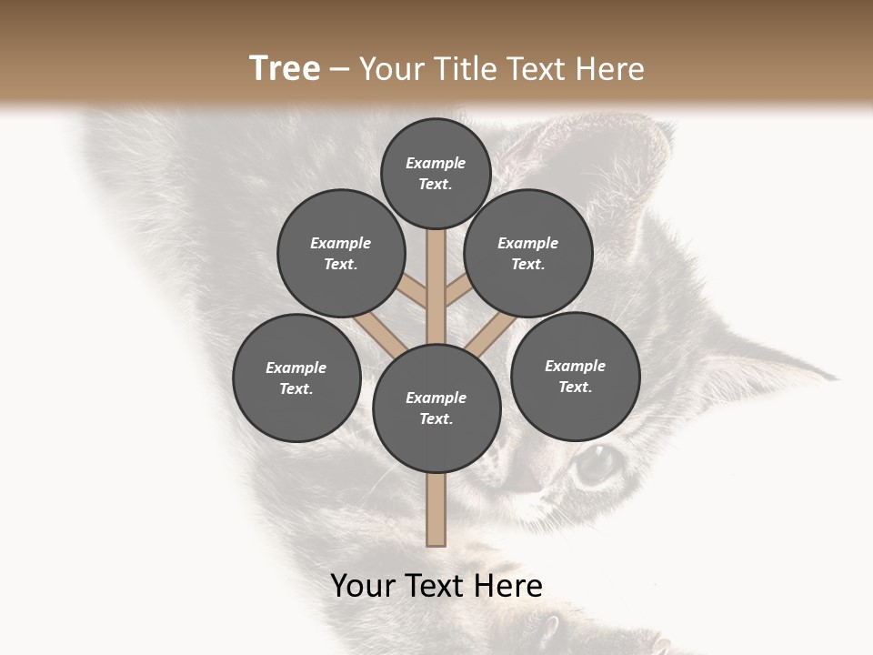 Cat Grey Fur PowerPoint Template