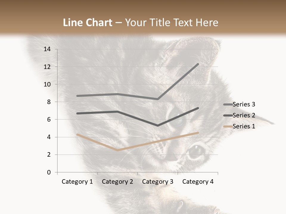 Cat Grey Fur PowerPoint Template