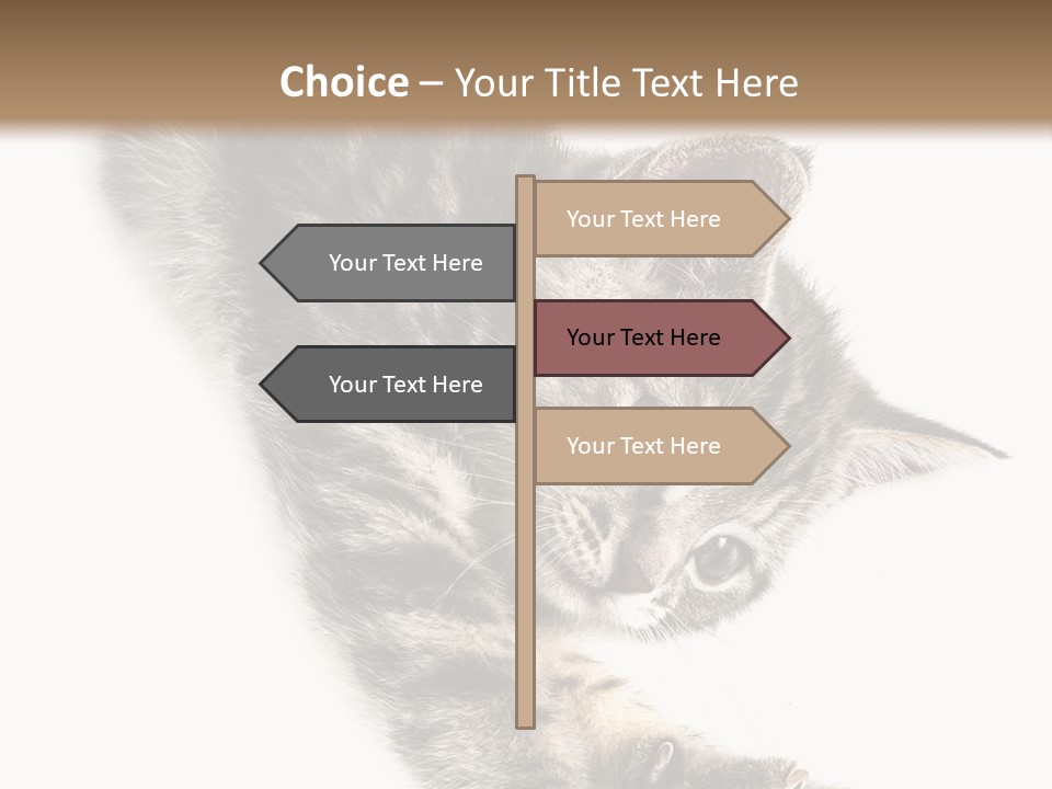 Cat Grey Fur PowerPoint Template