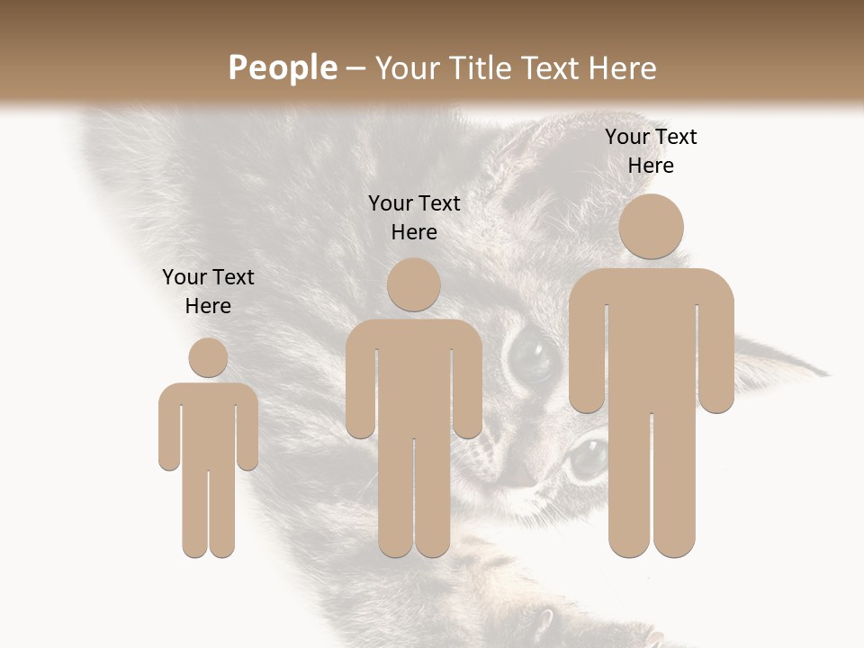 Cat Grey Fur PowerPoint Template