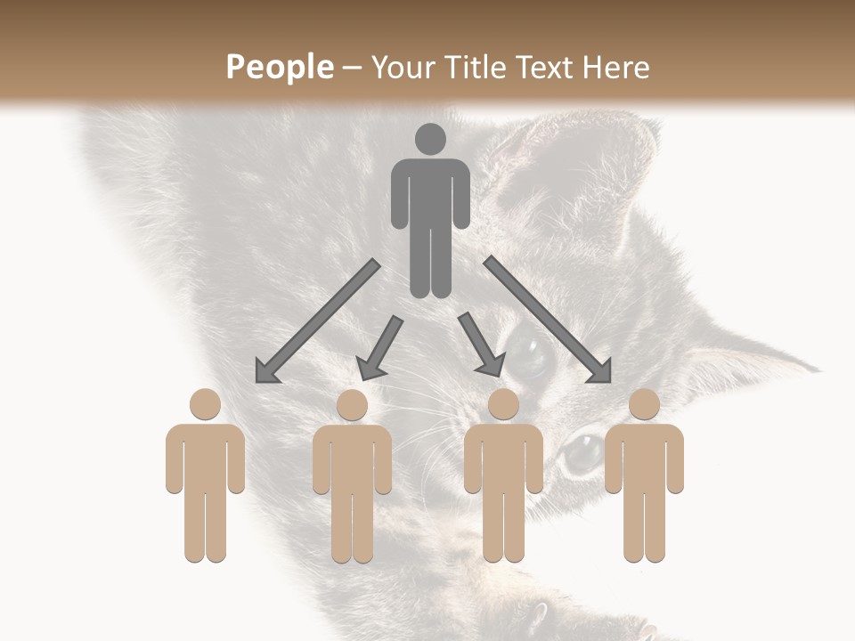 Cat Grey Fur PowerPoint Template