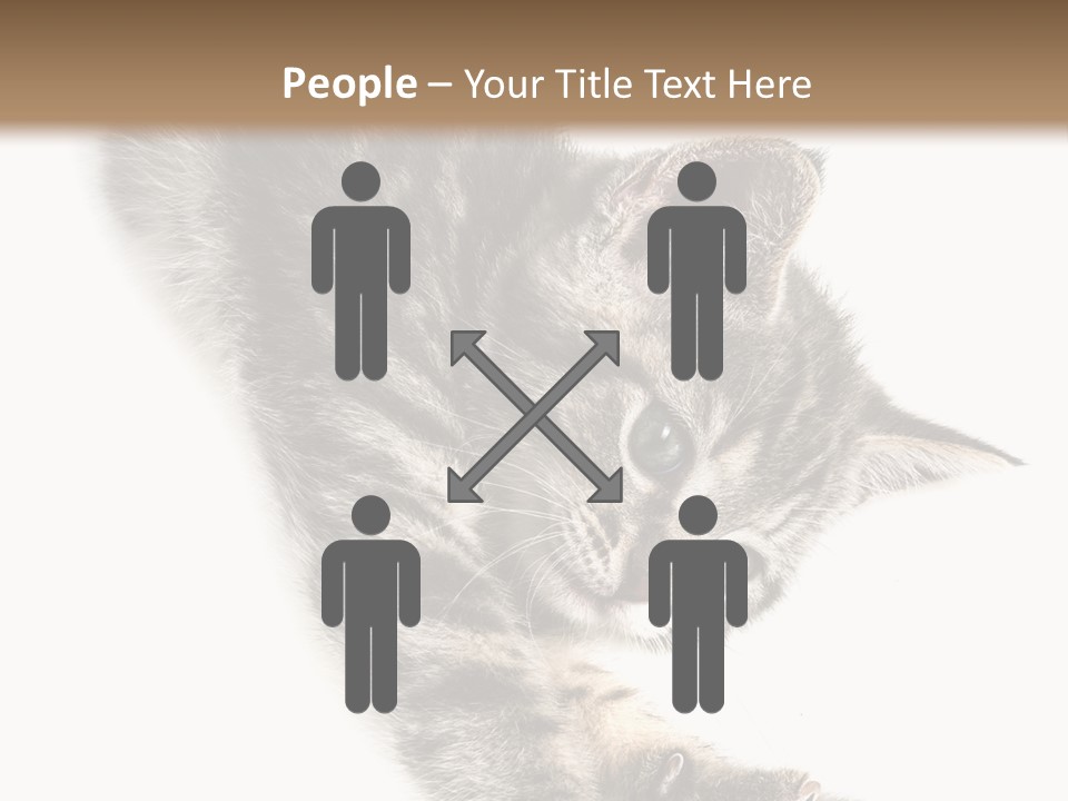 Cat Grey Fur PowerPoint Template