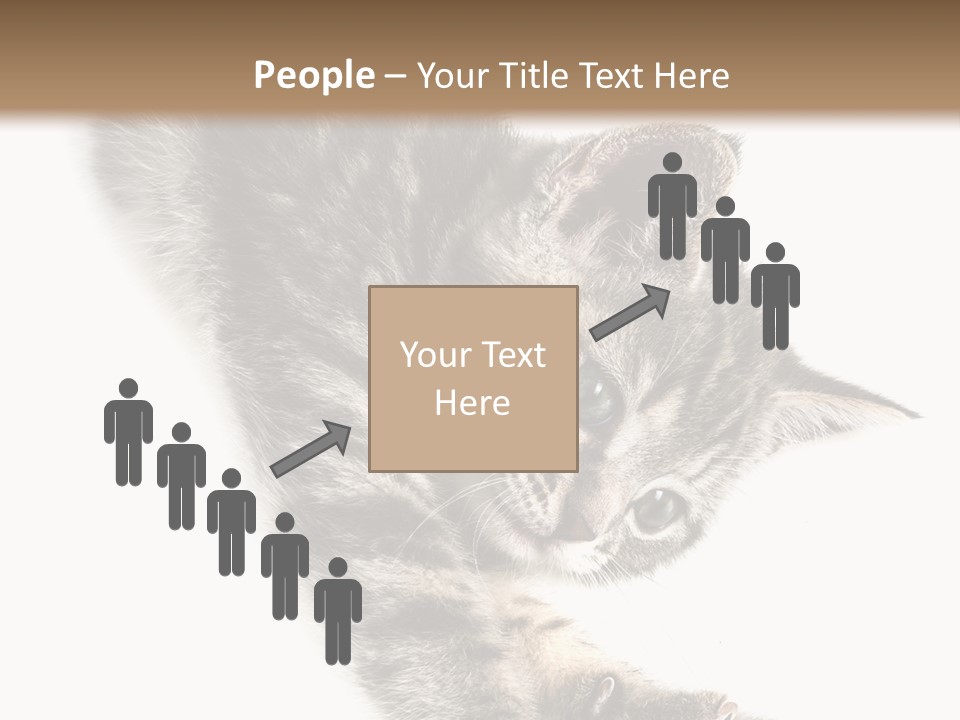 Cat Grey Fur PowerPoint Template