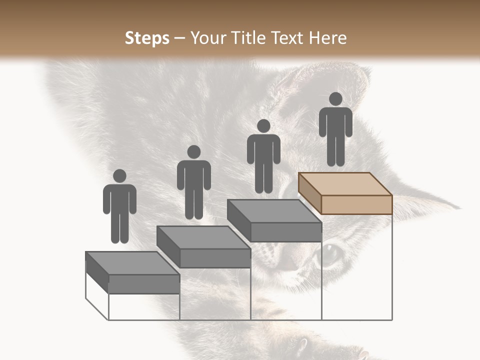 Cat Grey Fur PowerPoint Template