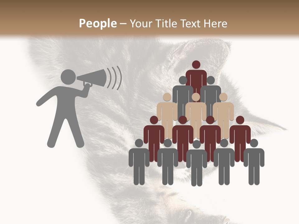 Cat Grey Fur PowerPoint Template