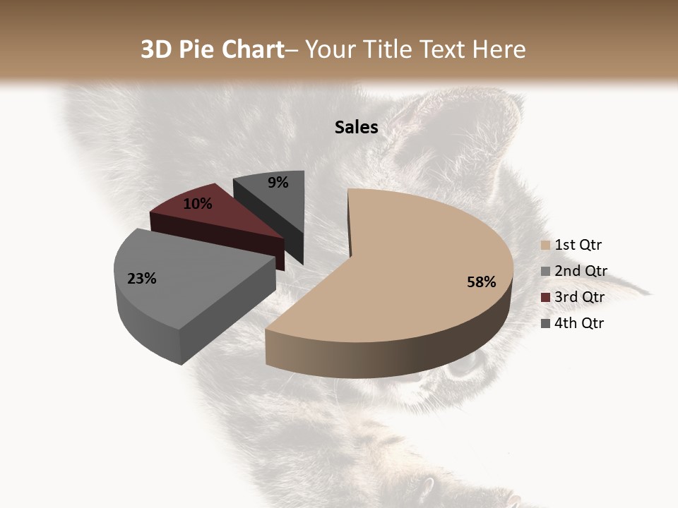 Cat Grey Fur PowerPoint Template