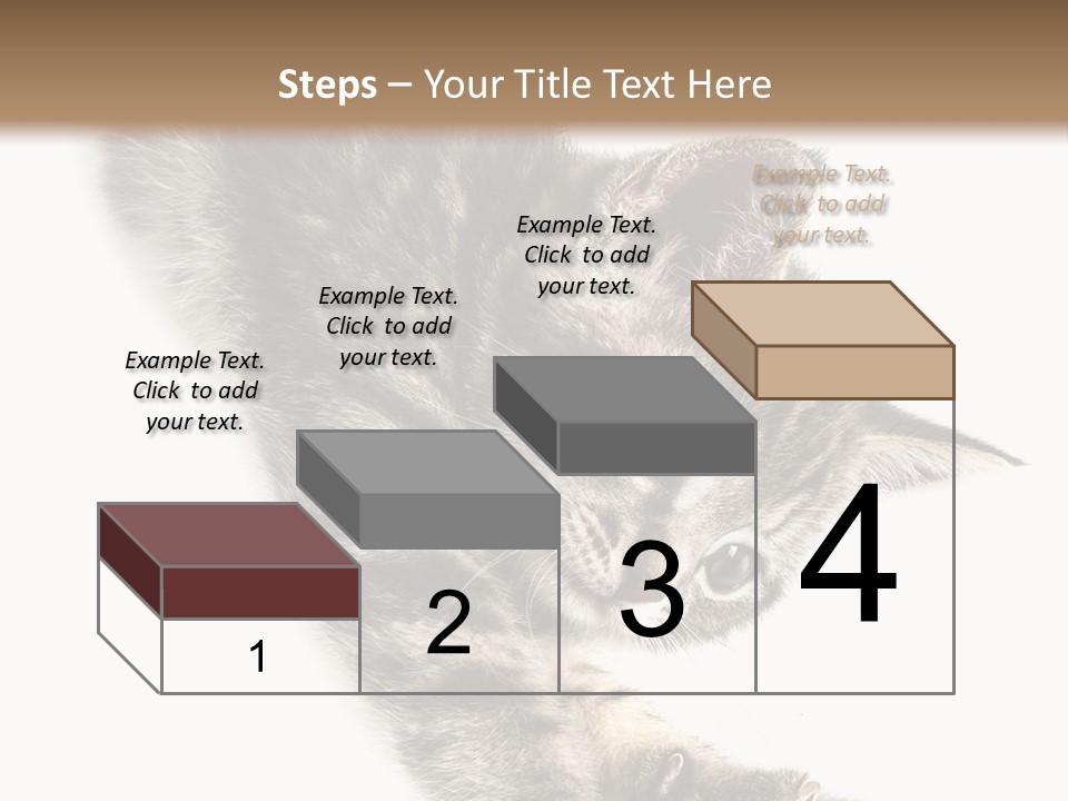 Cat Grey Fur PowerPoint Template