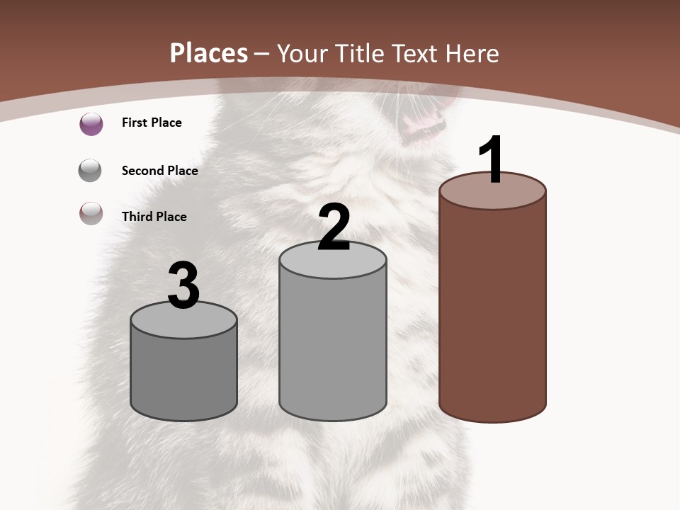 Spring Healthy Springtime PowerPoint Template