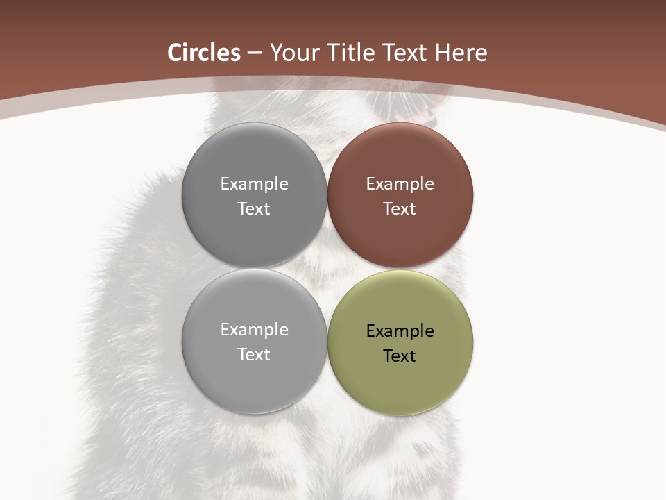 Spring Healthy Springtime PowerPoint Template