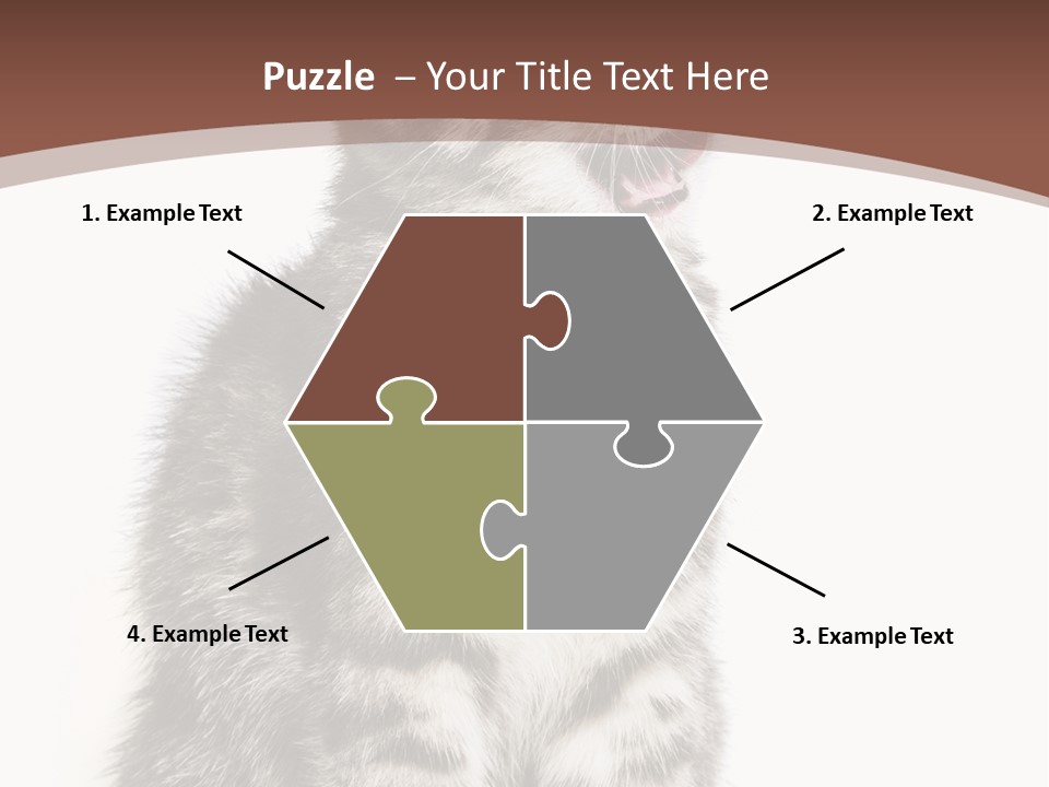 Spring Healthy Springtime PowerPoint Template