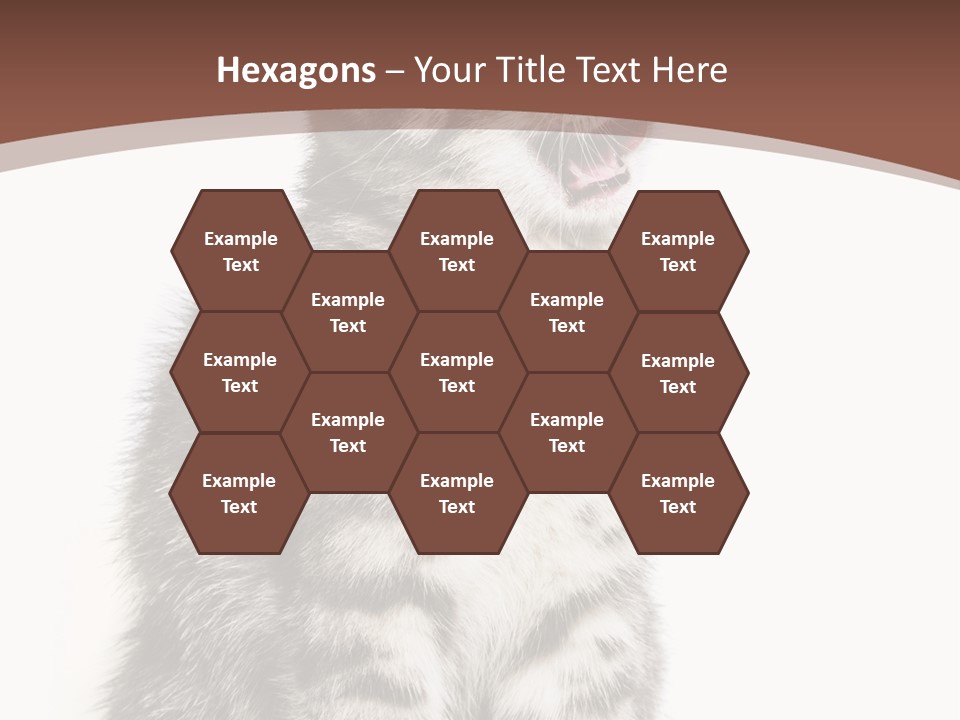 Spring Healthy Springtime PowerPoint Template