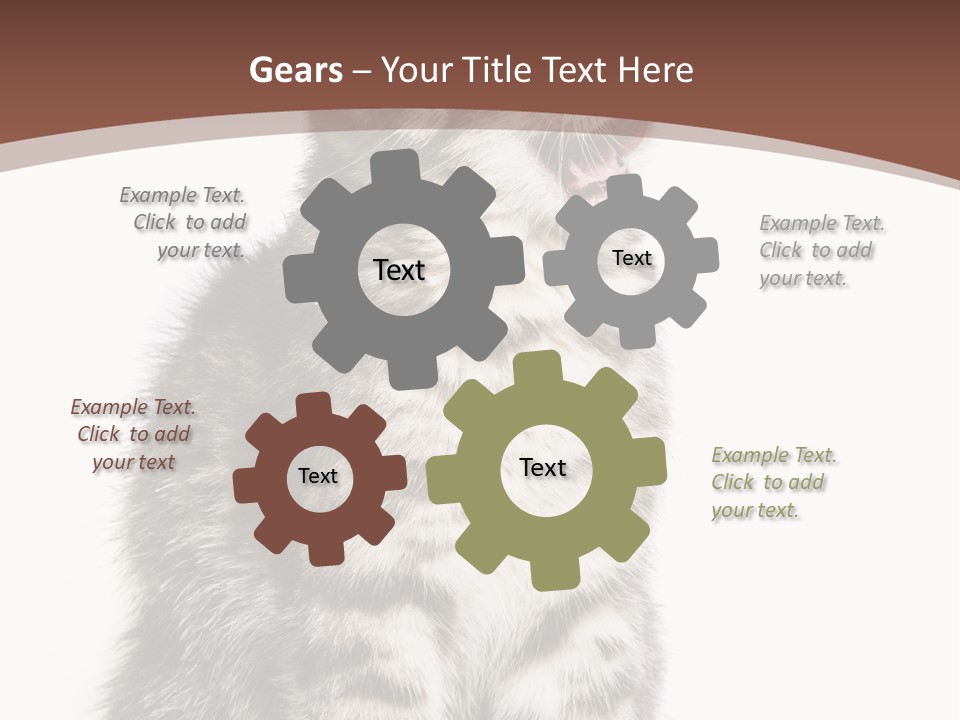 Spring Healthy Springtime PowerPoint Template