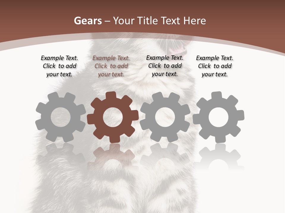 Spring Healthy Springtime PowerPoint Template