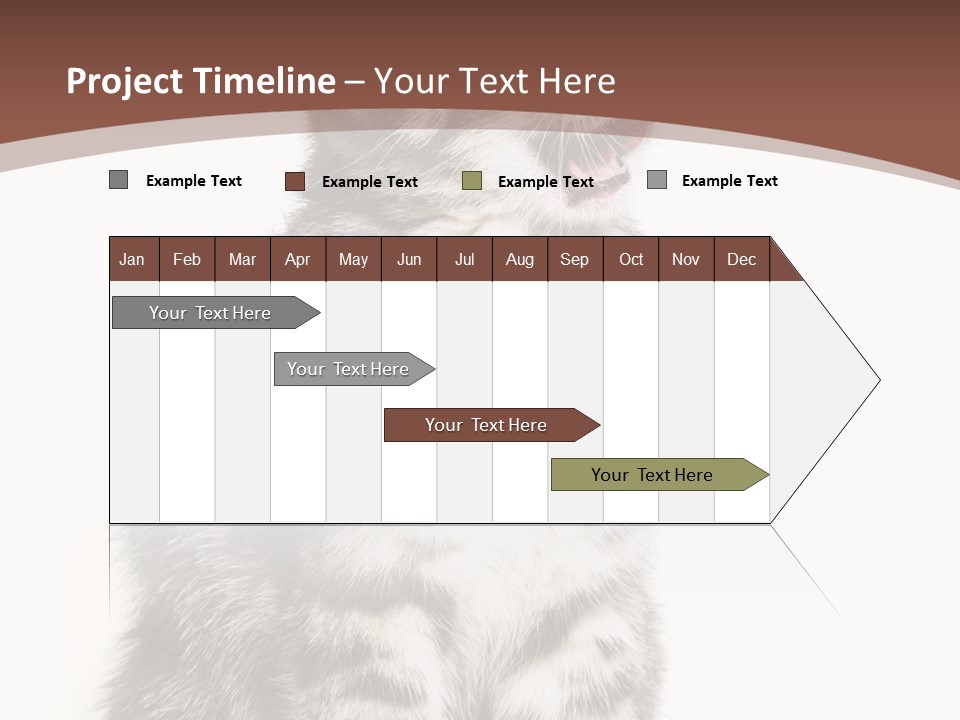 Spring Healthy Springtime PowerPoint Template