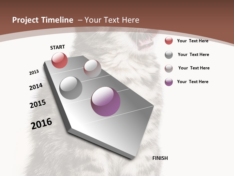 Spring Healthy Springtime PowerPoint Template
