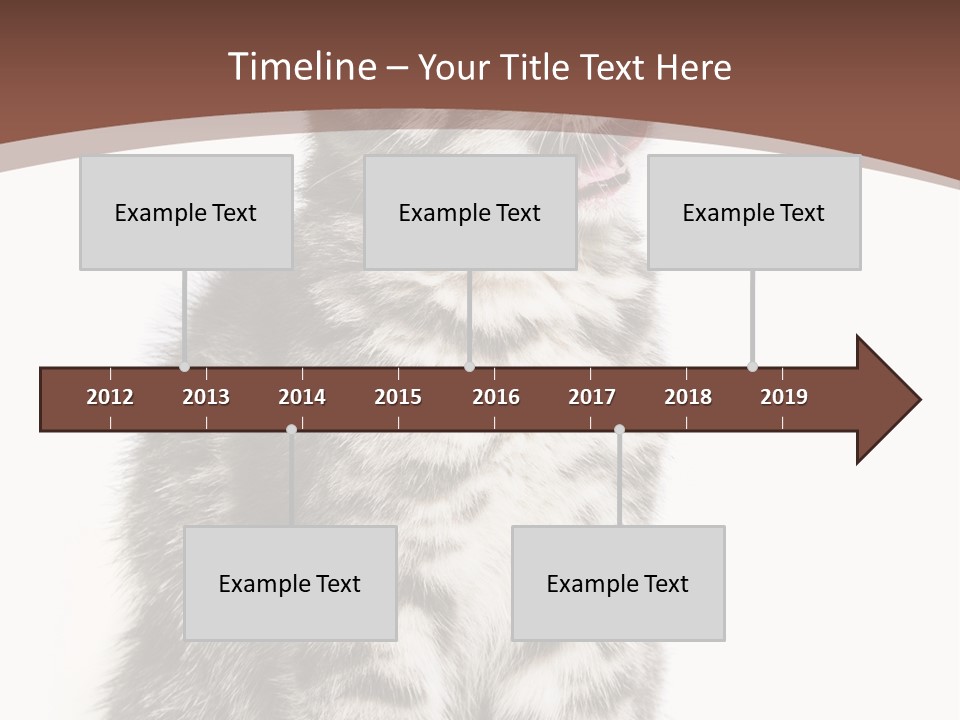 Spring Healthy Springtime PowerPoint Template
