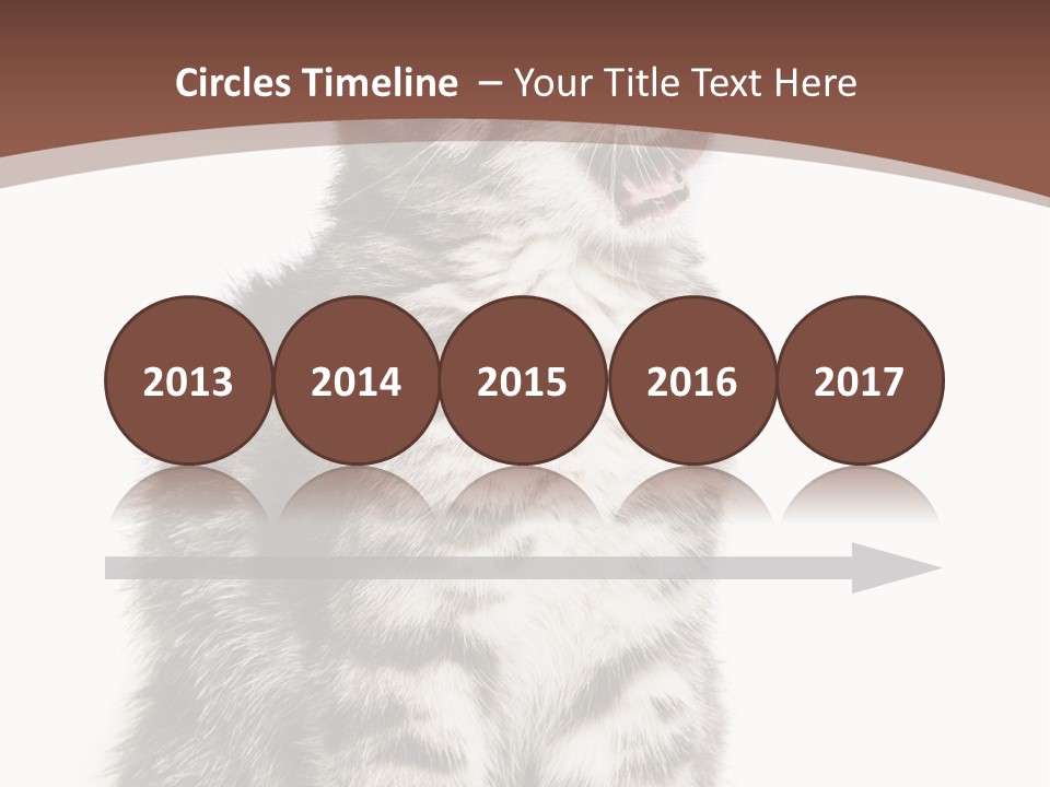 Spring Healthy Springtime PowerPoint Template