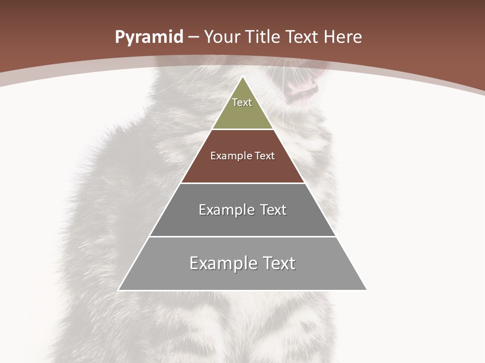 Spring Healthy Springtime PowerPoint Template