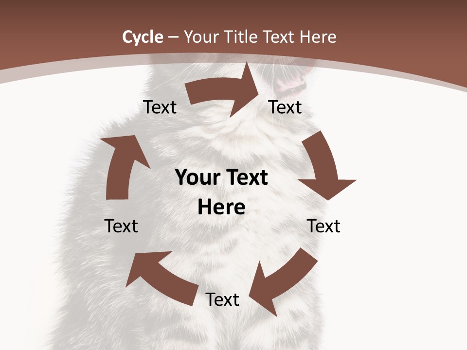 Spring Healthy Springtime PowerPoint Template