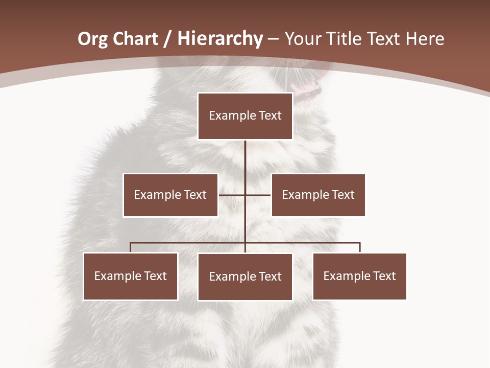 Spring Healthy Springtime PowerPoint Template