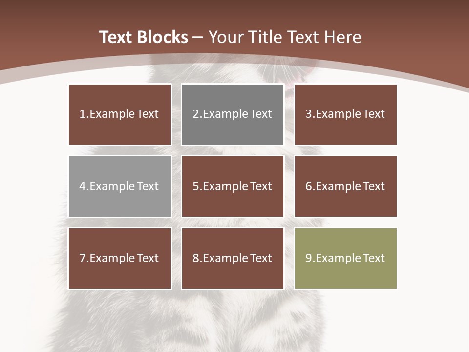 Spring Healthy Springtime PowerPoint Template