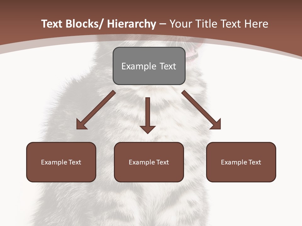 Spring Healthy Springtime PowerPoint Template