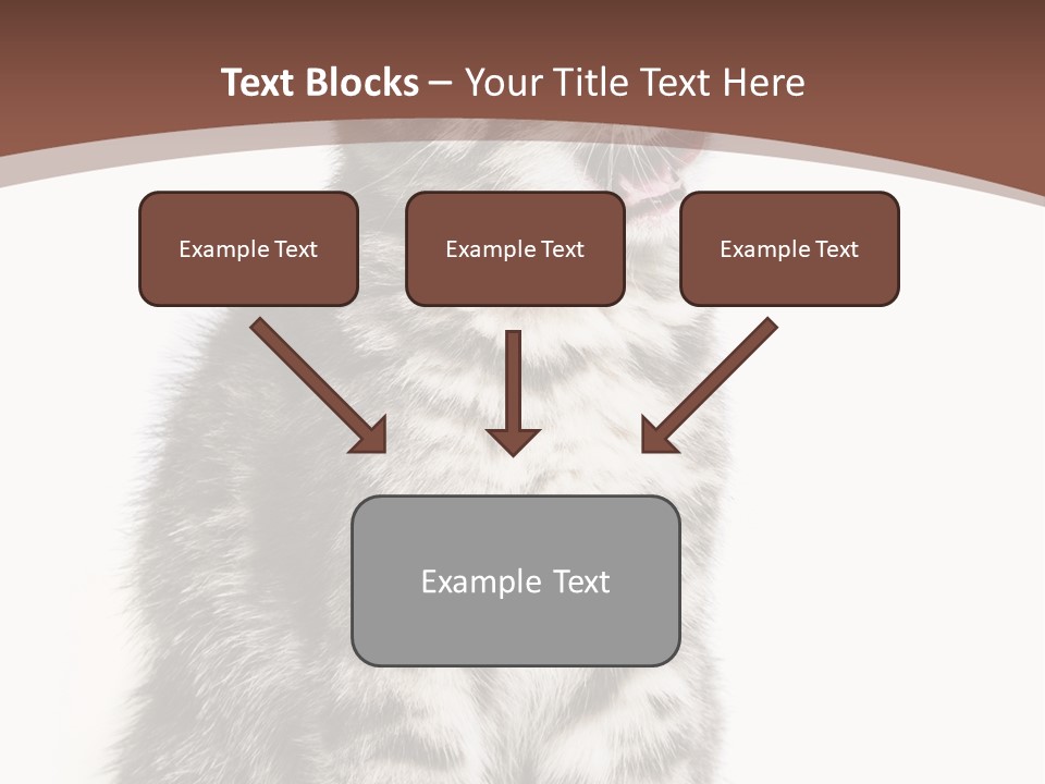 Spring Healthy Springtime PowerPoint Template
