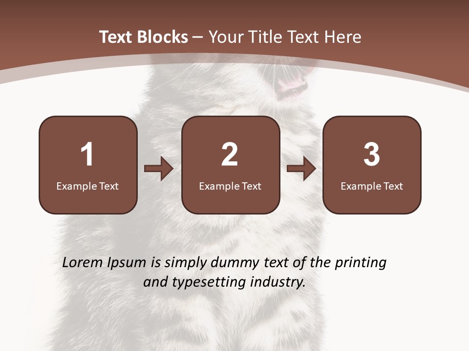 Spring Healthy Springtime PowerPoint Template