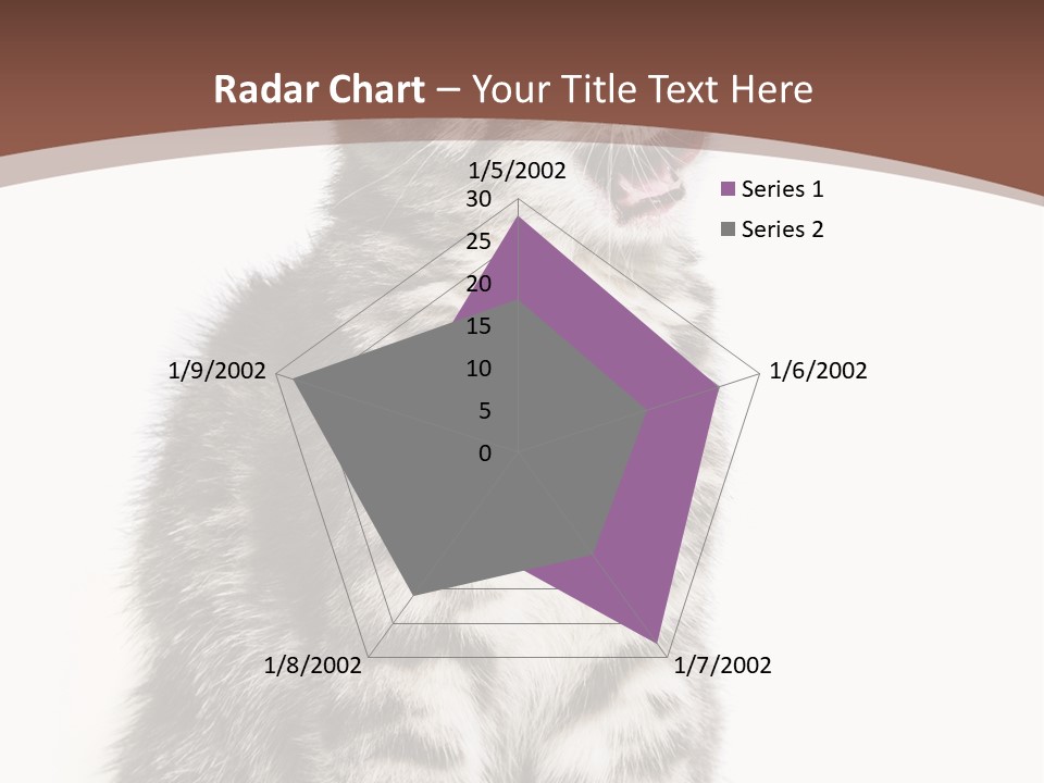 Spring Healthy Springtime PowerPoint Template