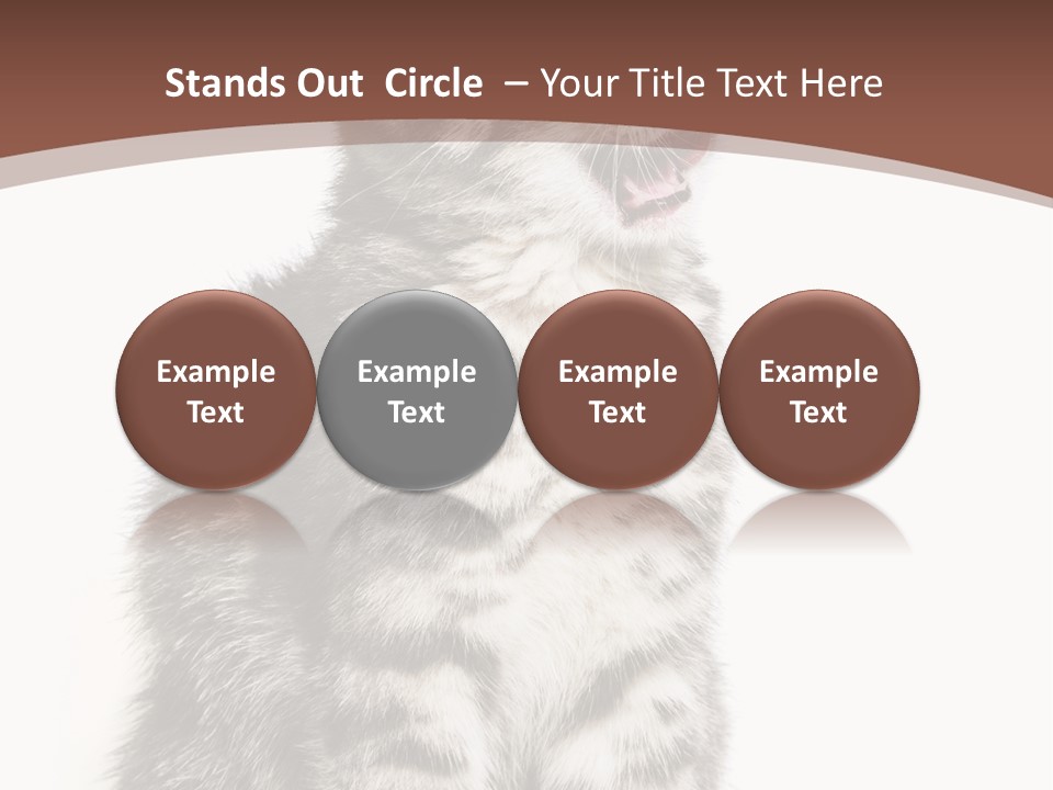 Spring Healthy Springtime PowerPoint Template