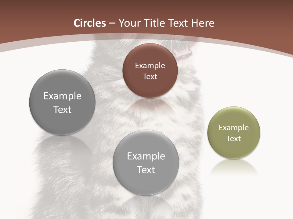 Spring Healthy Springtime PowerPoint Template