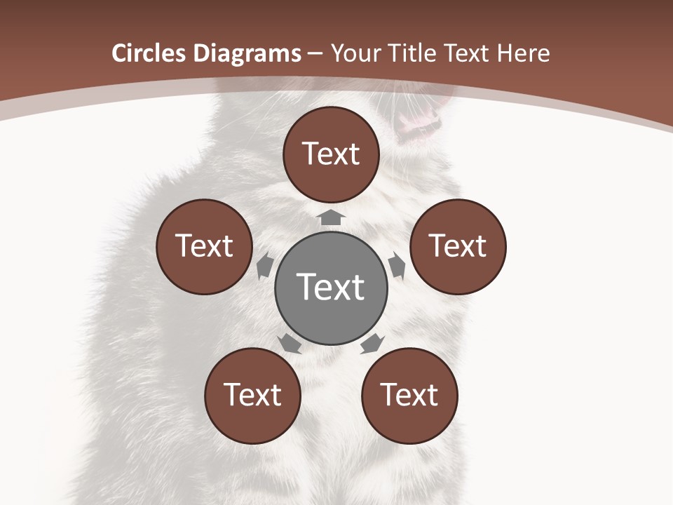 Spring Healthy Springtime PowerPoint Template