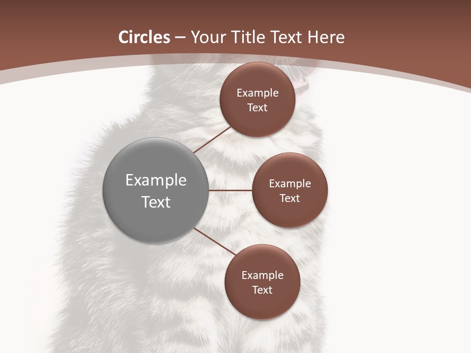 Spring Healthy Springtime PowerPoint Template