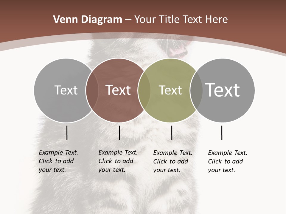 Spring Healthy Springtime PowerPoint Template