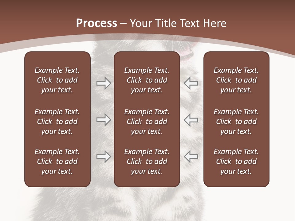 Spring Healthy Springtime PowerPoint Template
