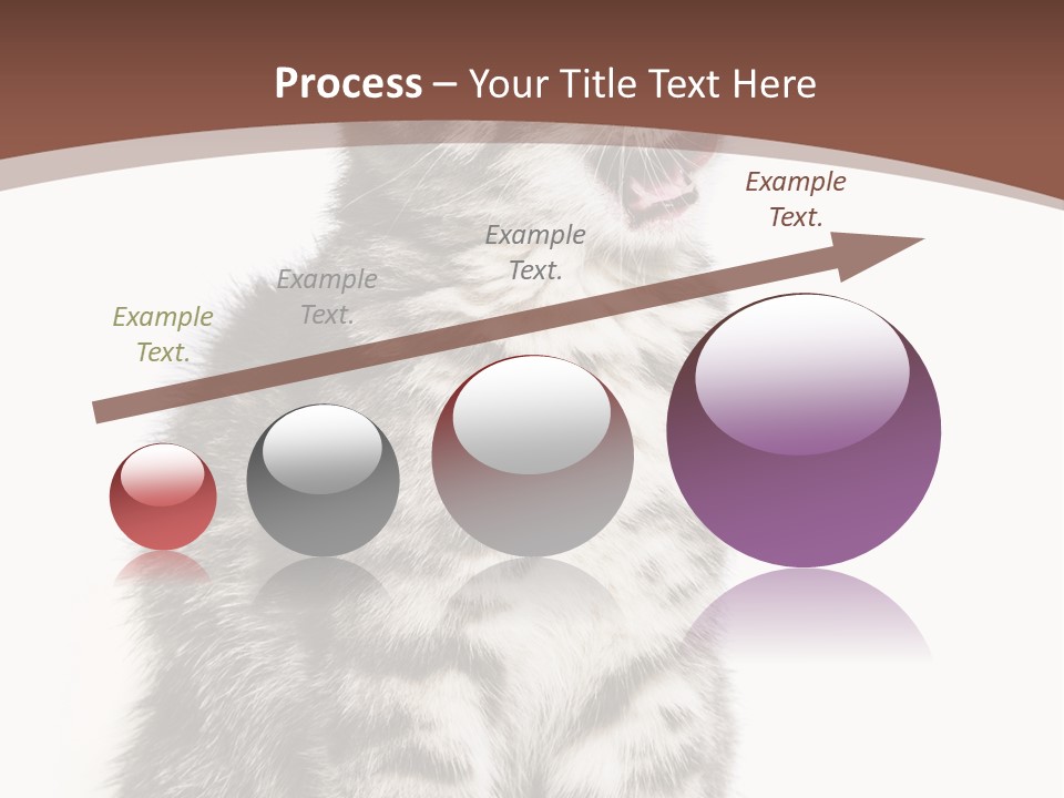 Spring Healthy Springtime PowerPoint Template