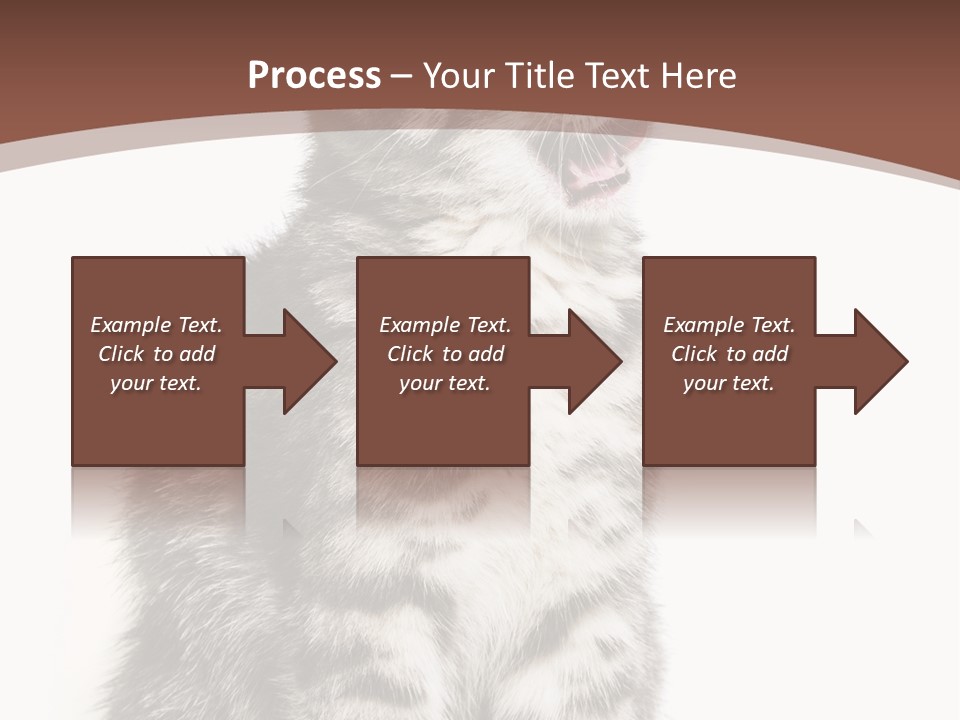 Spring Healthy Springtime PowerPoint Template