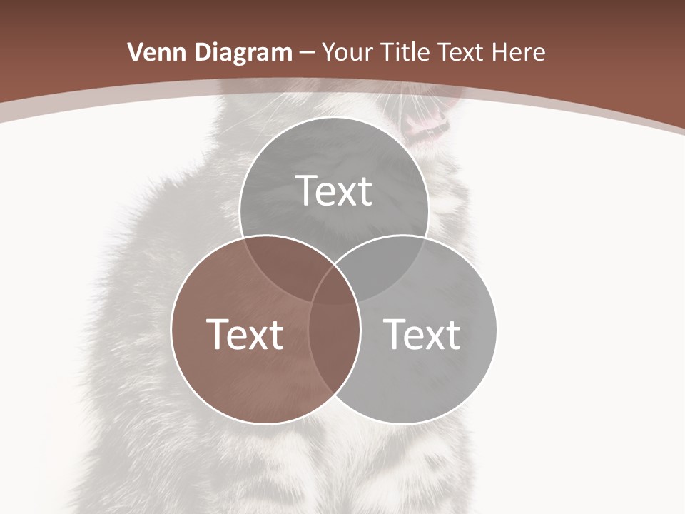 Spring Healthy Springtime PowerPoint Template