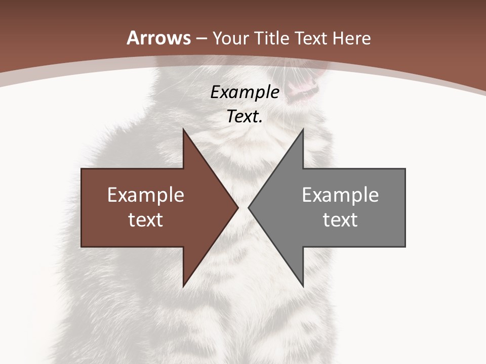 Spring Healthy Springtime PowerPoint Template