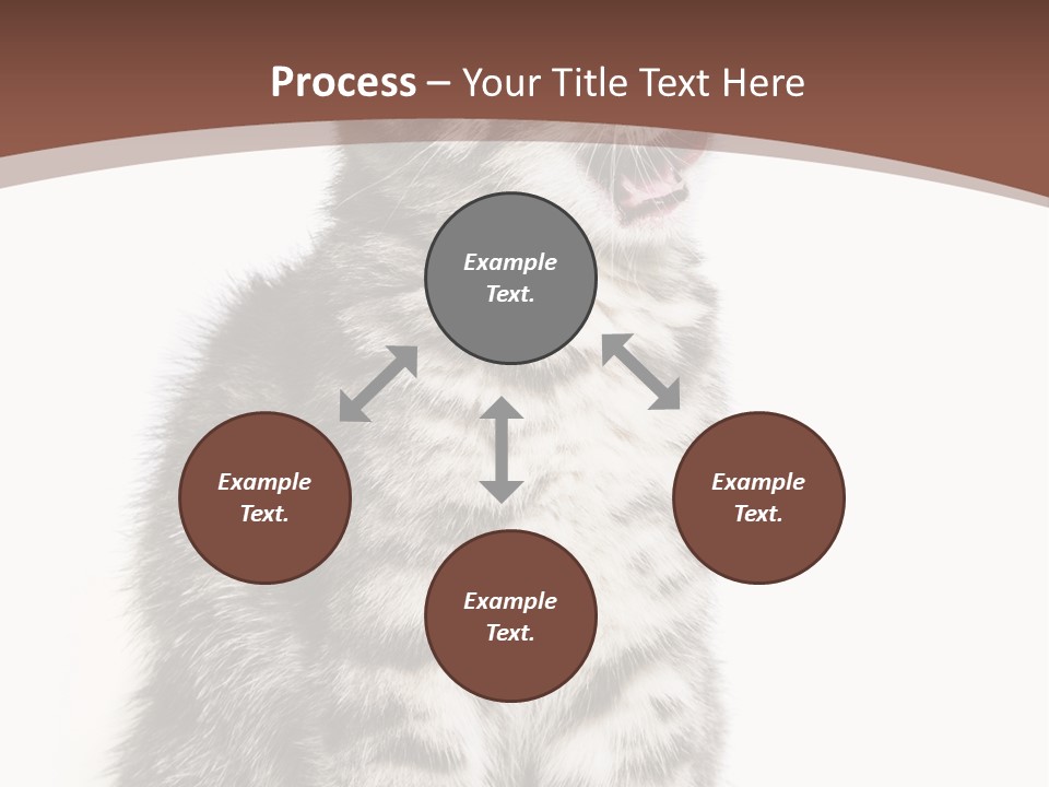 Spring Healthy Springtime PowerPoint Template