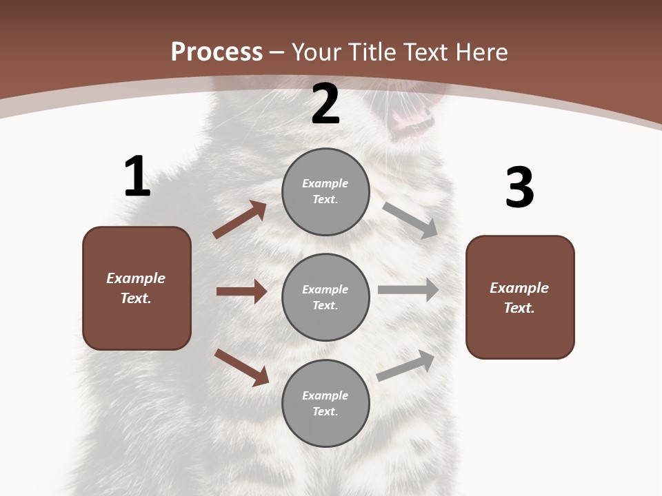 Spring Healthy Springtime PowerPoint Template