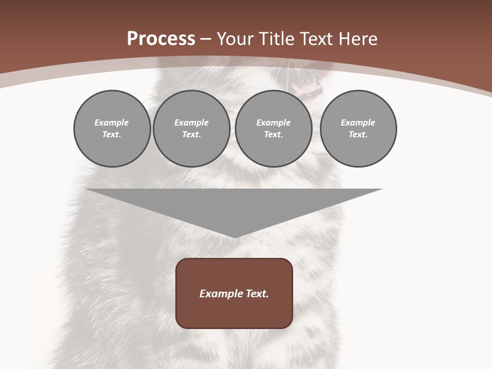 Spring Healthy Springtime PowerPoint Template